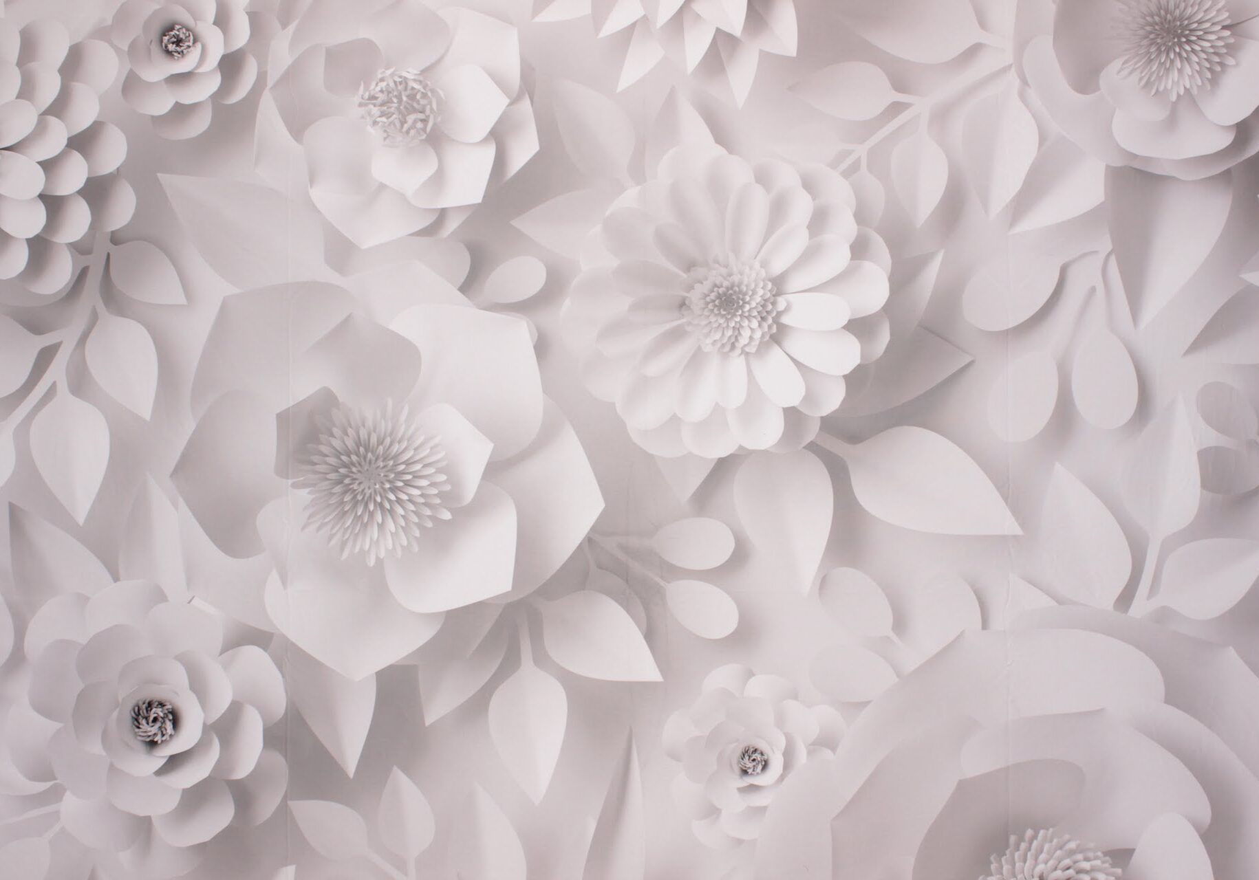 Floral White Paper Flowers